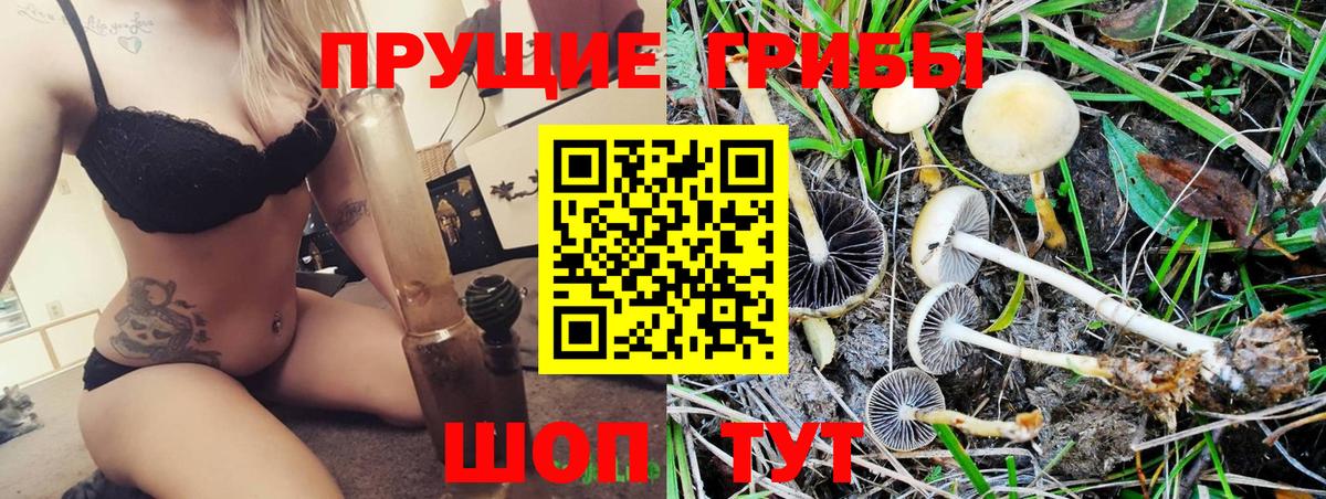 Псилоцибиновые грибы прущие грибы Шахты