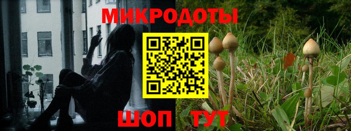 купить закладку  Галлюциногенные грибы ЛСД  Вход с VPN  Шахты 